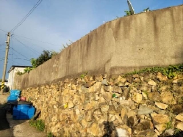 B000513202501300005662.jpg