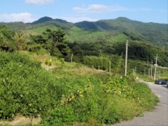 B000513202501300006273.jpg