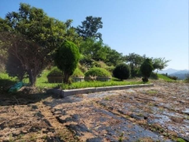 B000513202501300006294.jpg