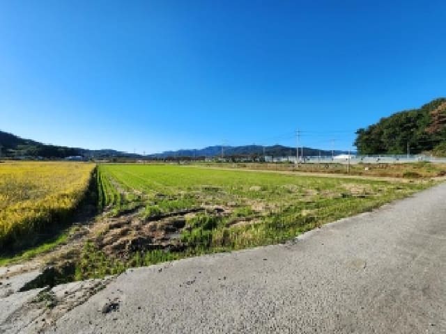 B000513202501300006582.jpg