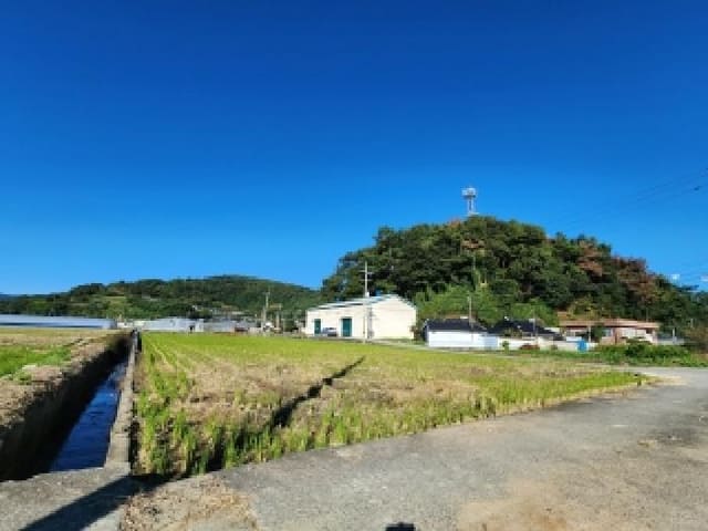 B000513202501300006581.jpg