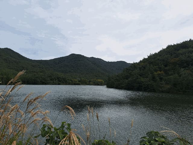 B000513202501300006694.jpg