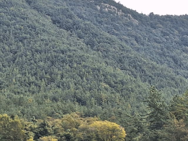B000513202501300006693.jpg