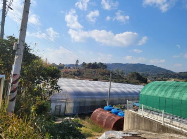 B000513202501300006753.jpg
