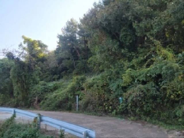 B000513202501300006771.jpg