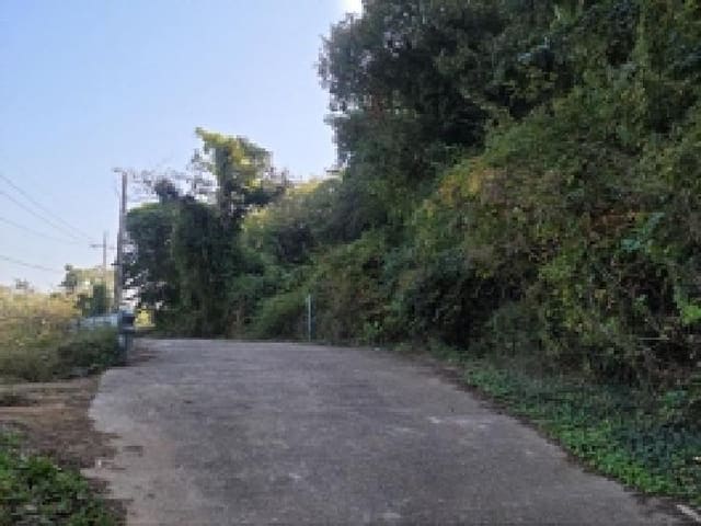 B000513202501300006773.jpg