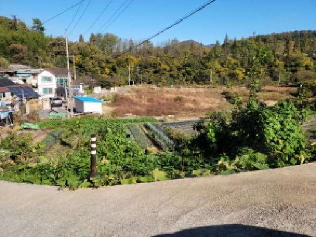 B000513202501300006852.jpg