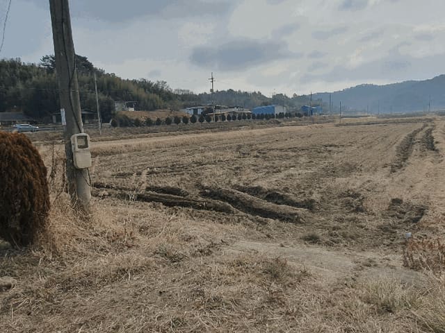 B000513202501300007084.jpg