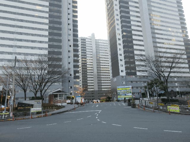 B000513202501300007174.jpg