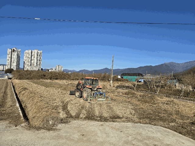 B000513202501300007243.jpg