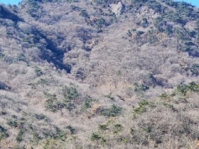 B000513202501300007314.jpg