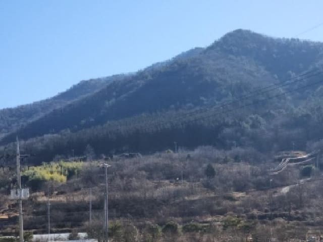 B000513202501300007312.jpg