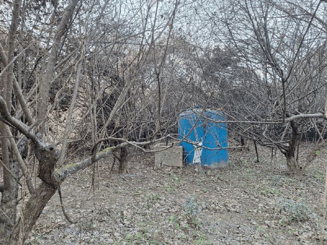 B000513202501300007394.jpg