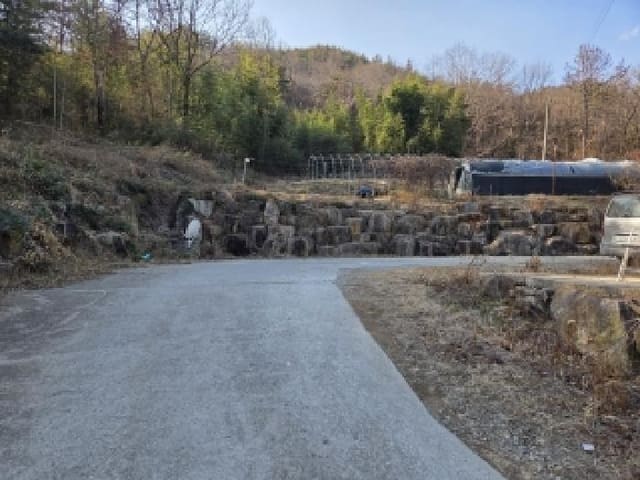 B000513202501300007543.jpg