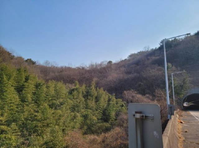 B000513202501300007571.jpg