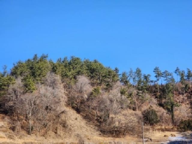 B000513202501300502683.jpg