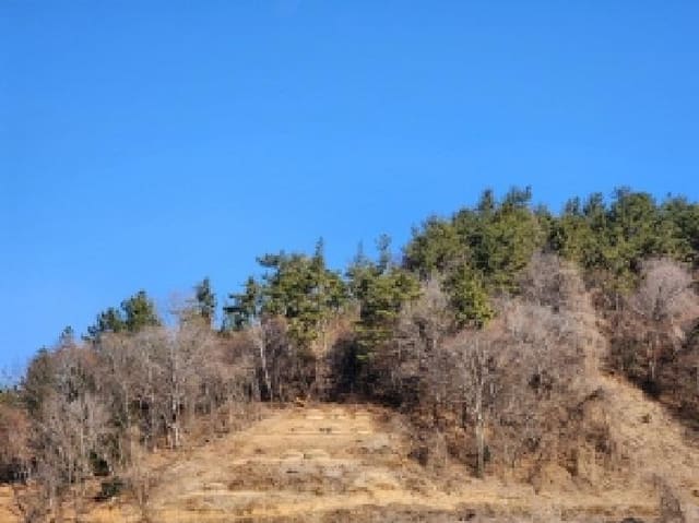 B000513202501300502681.jpg