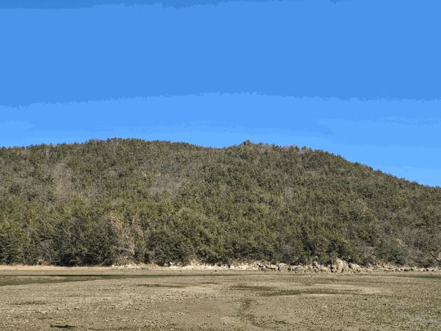 B000513202501300506953.jpg