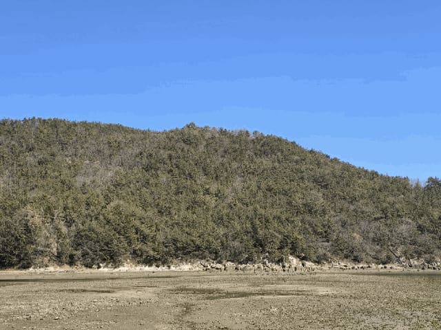 B000513202501300506954.jpg