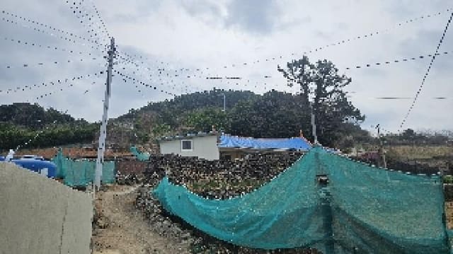 B000513202501300508481.jpg