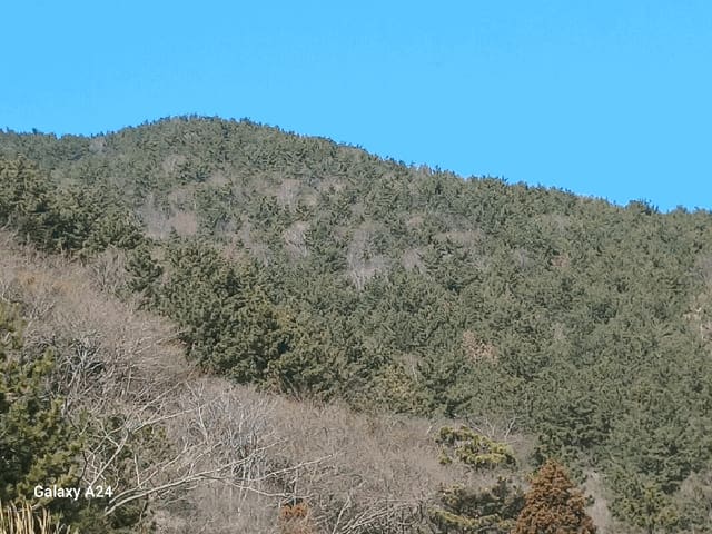 B000513202501300510513.jpg