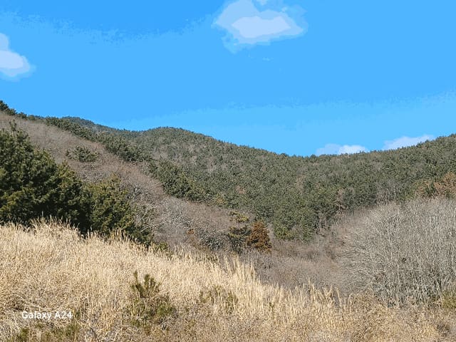B000513202501300510514.jpg