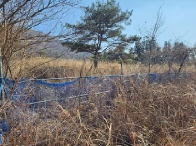 B000513202501300511263.jpg