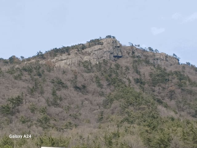 B000513202501300512333.jpg