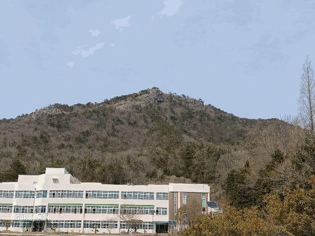 B000513202501300512336.jpg