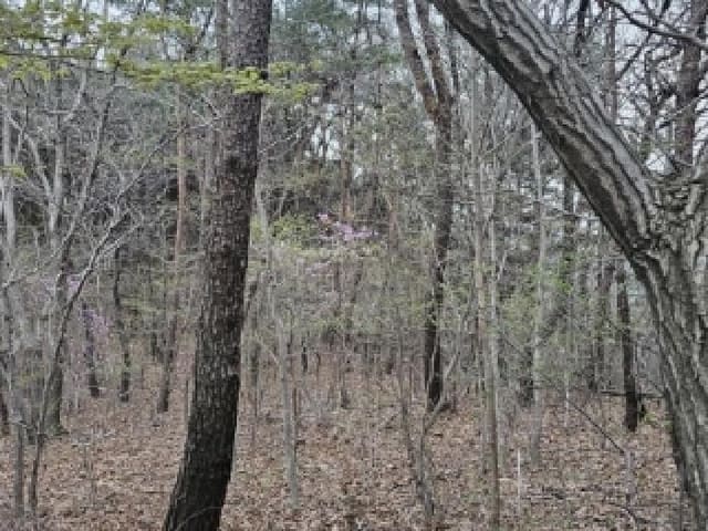 B000513202501300512632.jpg