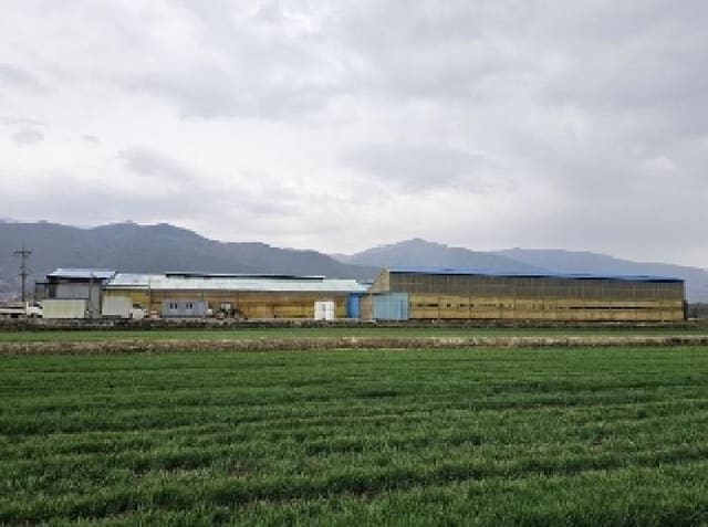 B000513202501300512764.jpg