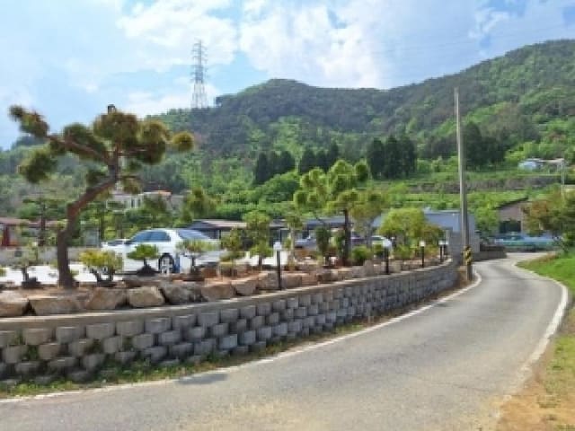 B000513202501300512983.jpg