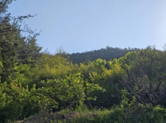 B000513202501300513242.jpg