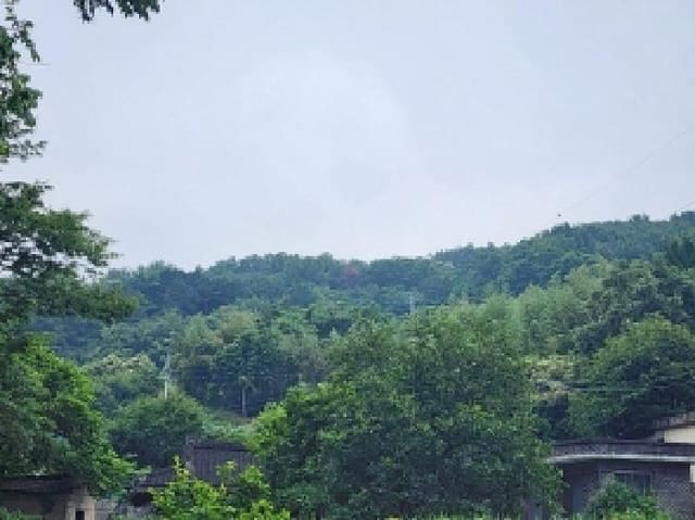 B000513202501300513841.jpg