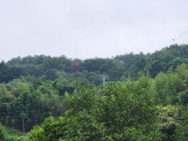B000513202501300513842.jpg