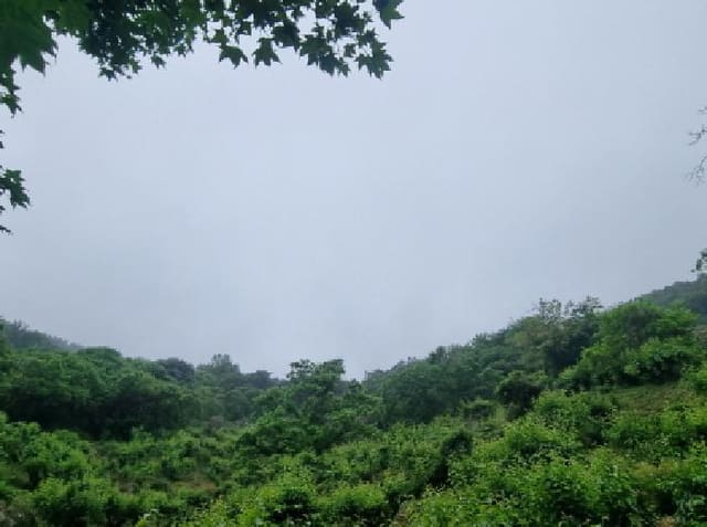 B000513202501300513874.jpg