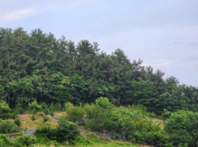 B000513202501300514384.jpg