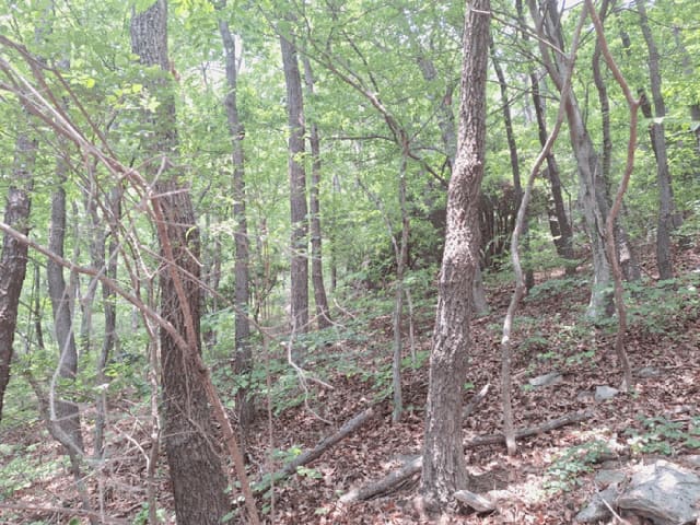 B000513202501300514873.jpg