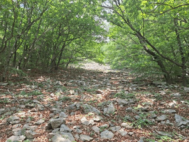 B000513202501300514874.jpg