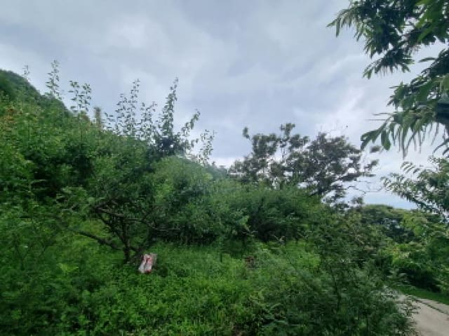 B0005132025013005159029.jpg