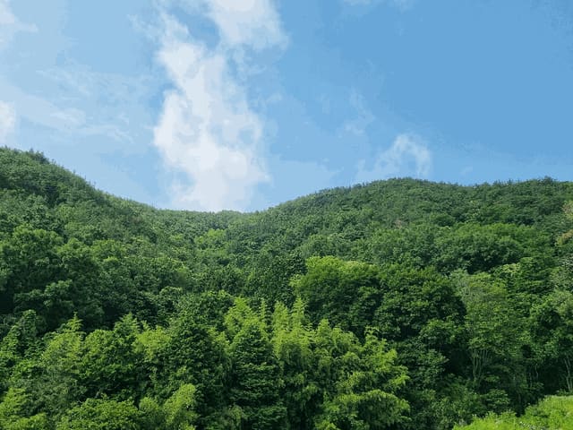 B000513202501300515943.jpg