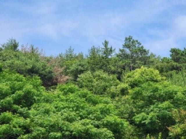 B000513202501300516063.jpg