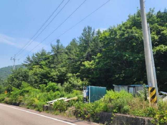B0005132025013005161127.jpg