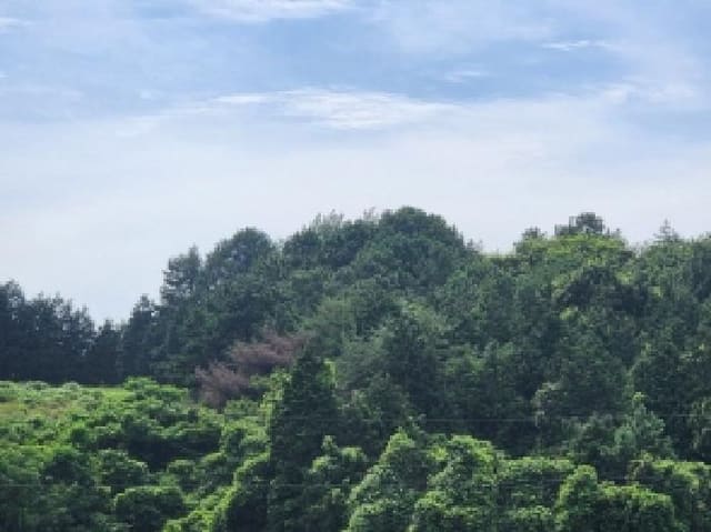 B000513202501300516321.jpg