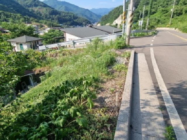 B000513202501300516603.jpg