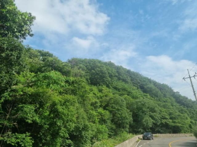 B000513202501300516684.jpg