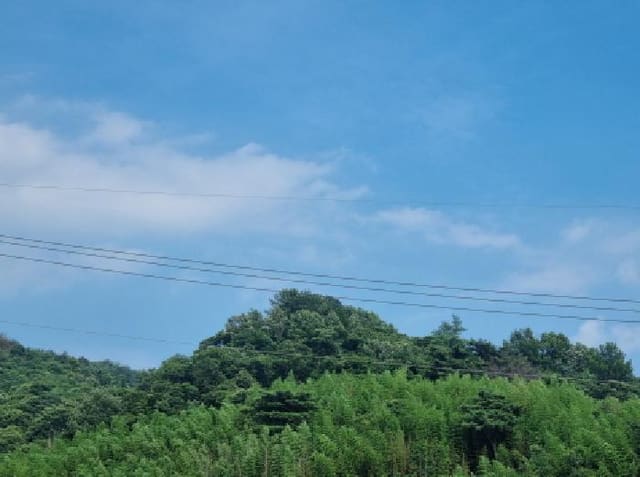 B000513202501300516682.jpg
