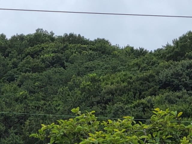 B000513202501300516813.jpg