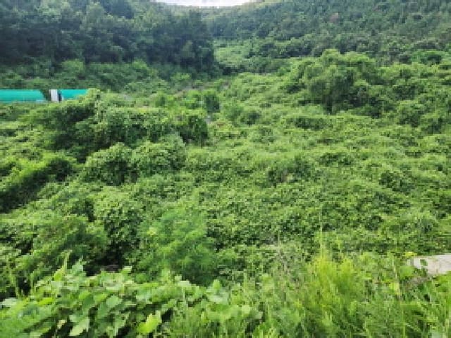 B000513202501300516944.jpg