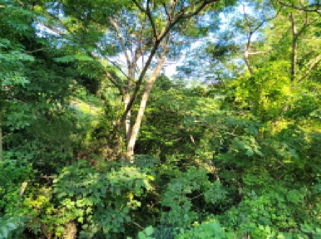 B000513202501300517134.jpg